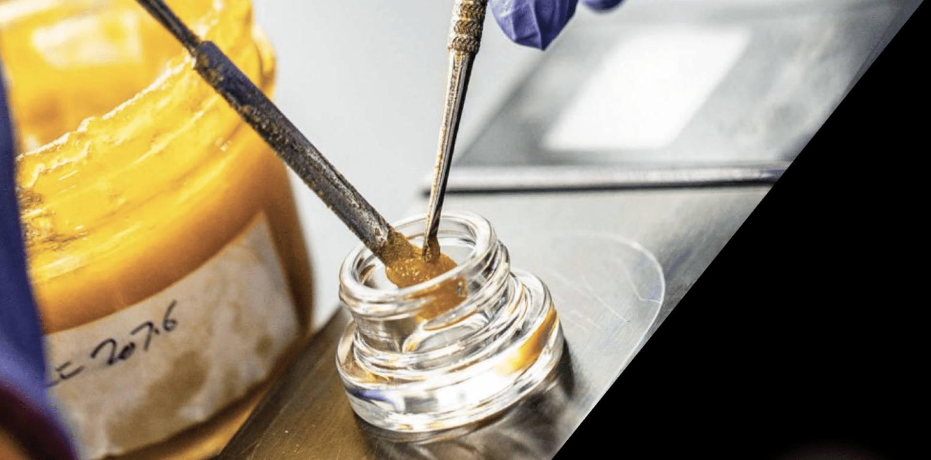 Making the Best Concentrates For a Global Market