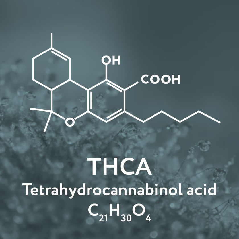 thca